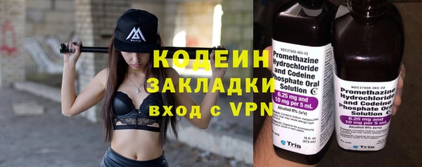 твердый Гусев