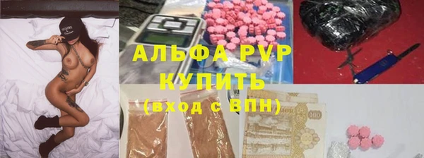 твердый Гусев