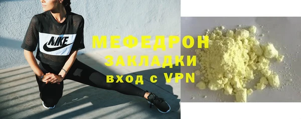 твердый Гусев
