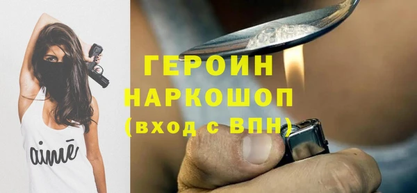 твердый Гусев