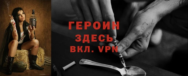 твердый Гусев