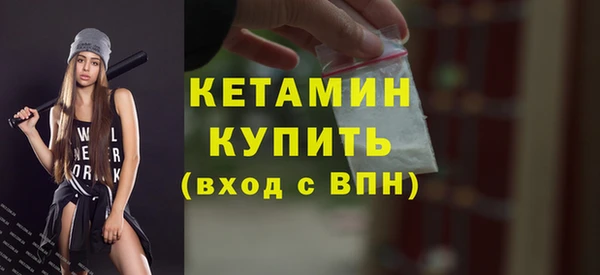 твердый Гусев
