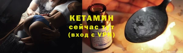 твердый Гусев