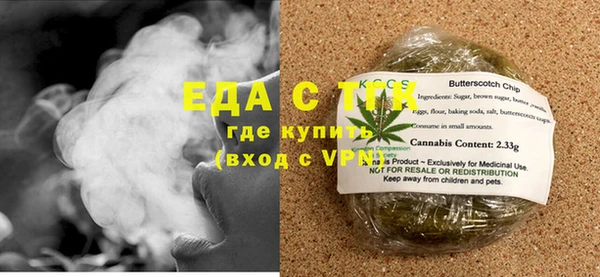 твердый Гусев
