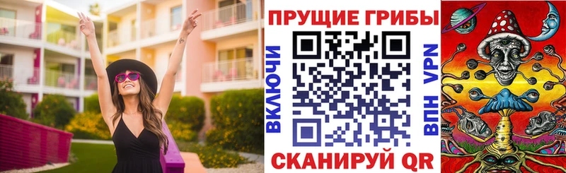 Псилоцибиновые грибы прущие грибы  Купить закладки  Североморск 